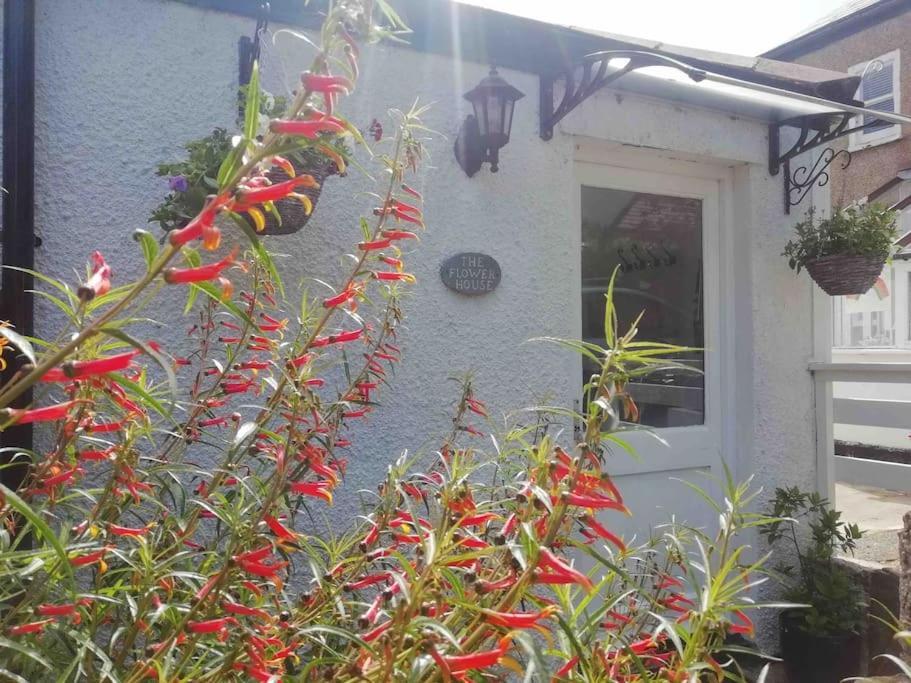 The Flower House, Idyllic Cornish Retreat. Appartement Saint Erth Buitenkant foto